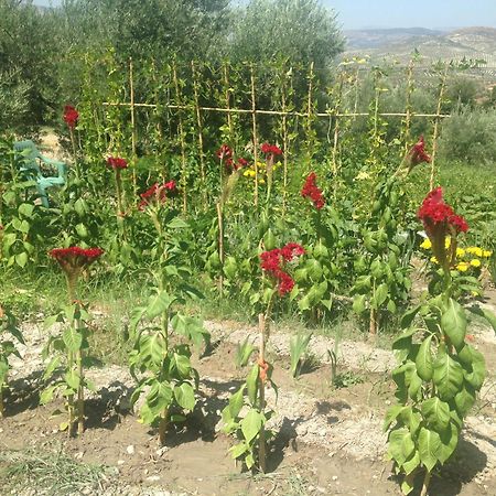 Pensjonat Cortijo La Huerta Pilas de Fuente Soto Zewnętrze zdjęcie