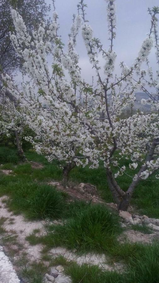 Pensjonat Cortijo La Huerta Pilas de Fuente Soto Zewnętrze zdjęcie